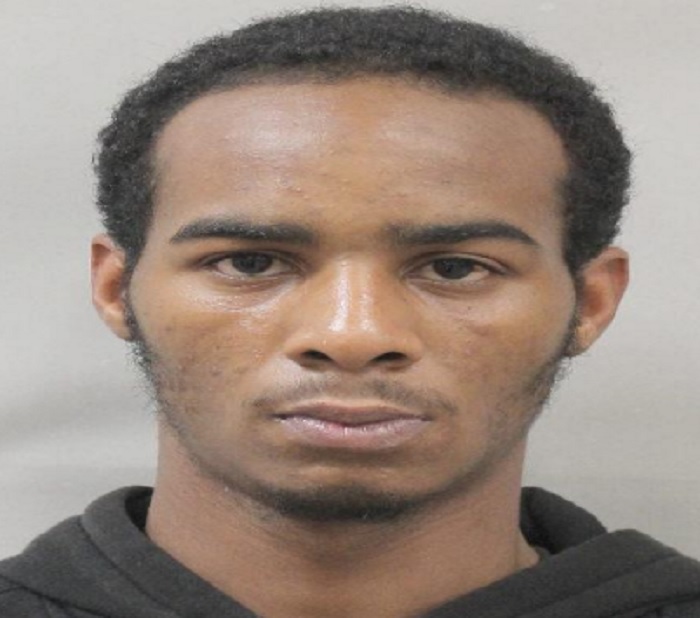 NOPD Searching For Suspect In Vehicle Burglary - NOPD News